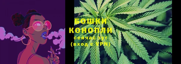 гидра Ладушкин